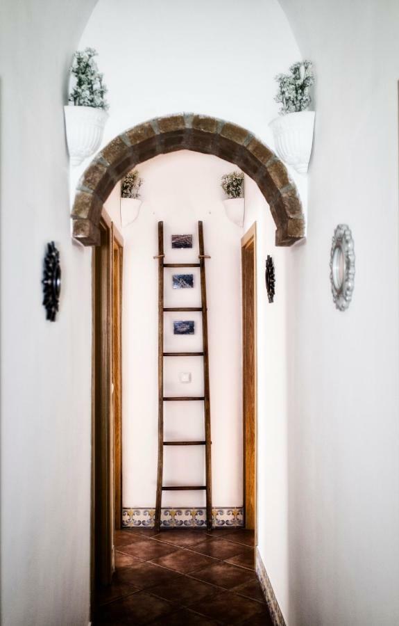Casa Vitoria Guest House 에보라 외부 사진